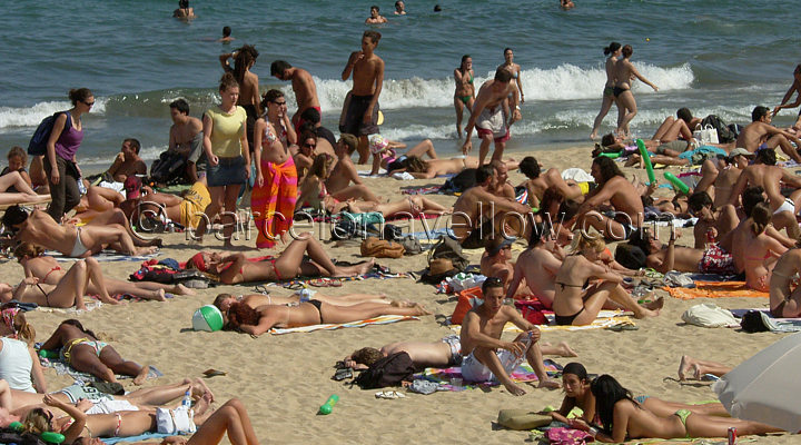 Beach in nudist photo