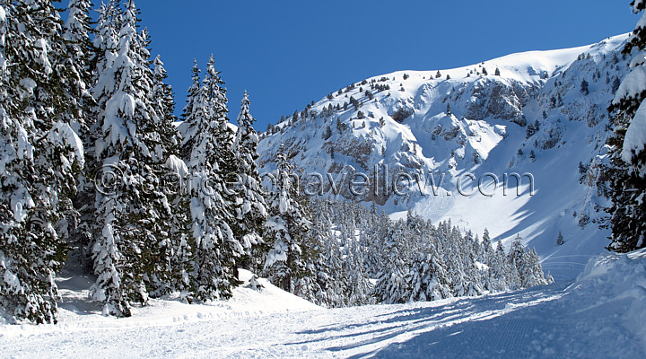 skiing_barcelona_masella