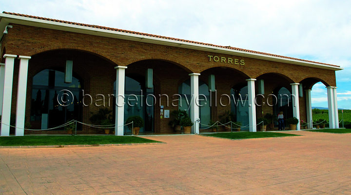 torres_vineyard_visitor_centre