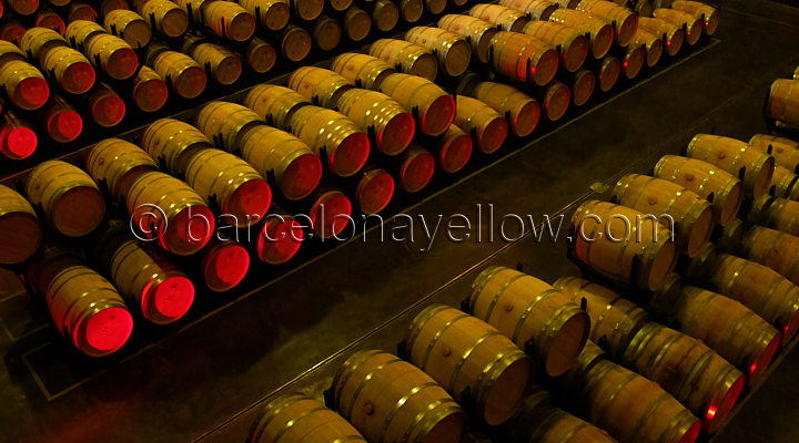 visit_torres_winery_barcelona