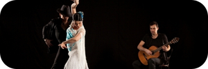 Tickets Flamenco Shows Barcelona by Viator