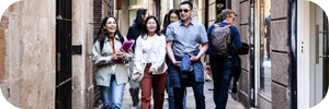 Best selling Viator Picasso musuem and walking tour