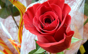 Pictures Sant Jordi