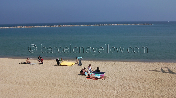 720x400_barcelona_beach_early_bathers