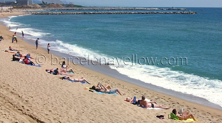 720x400_barcelona_beaches_sunbathers