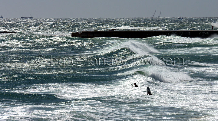 720x400_barcelona_surfing