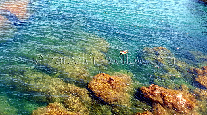 Snorkeling Costa Brava waters