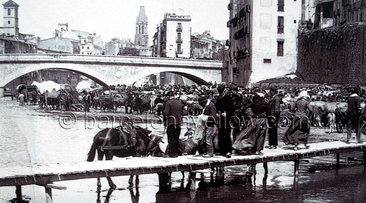 girona_old_photographs