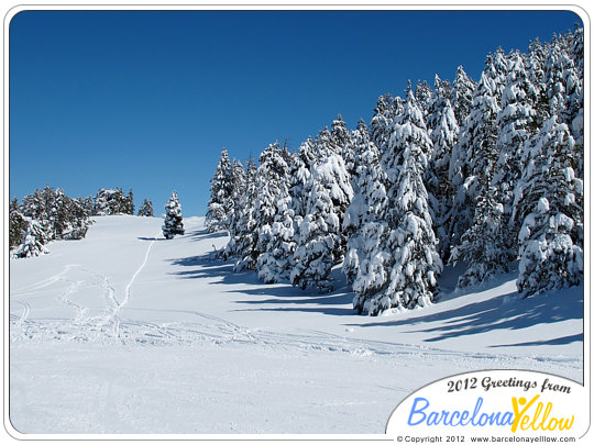 Masella ski resort