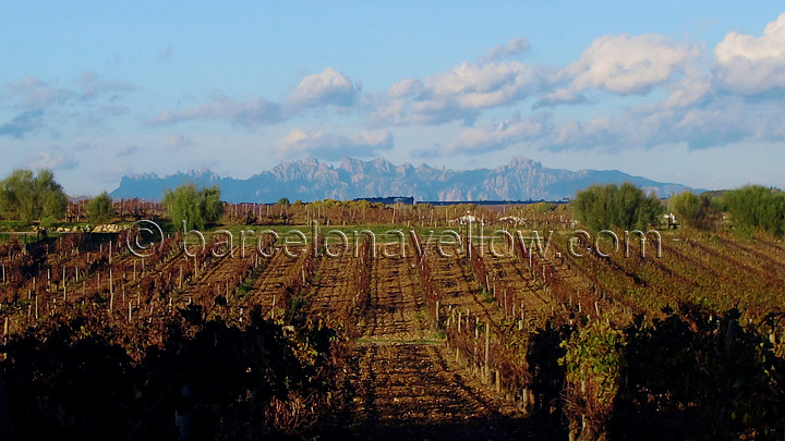 montserrat_view_from_penedes