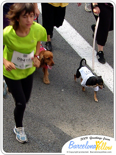 cursa-corte-ingles-2009-dogs