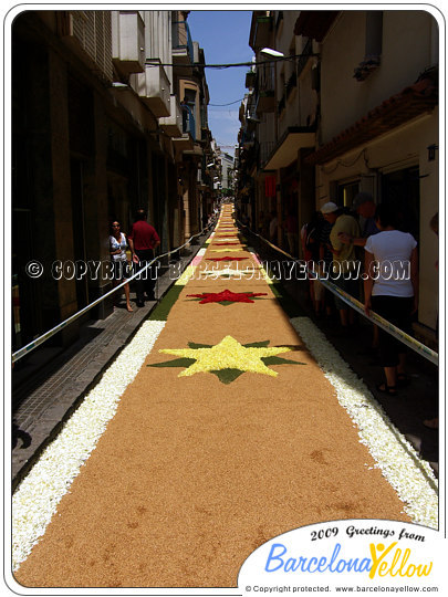 Sitges Corpus - Flower Carpet Festival