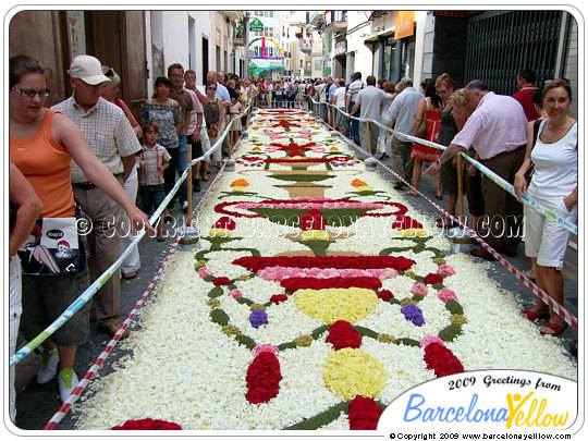 Pictures Sitges flower carpet festival