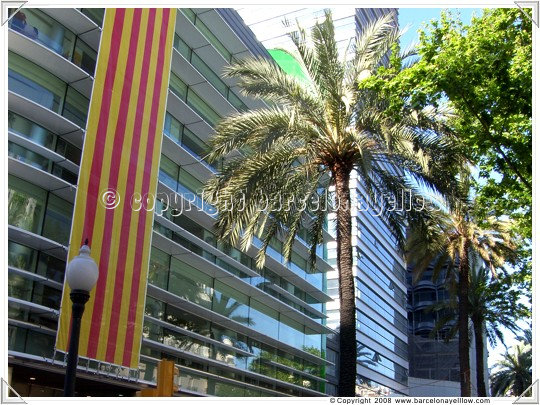 Barcelona Sant Jordi flags