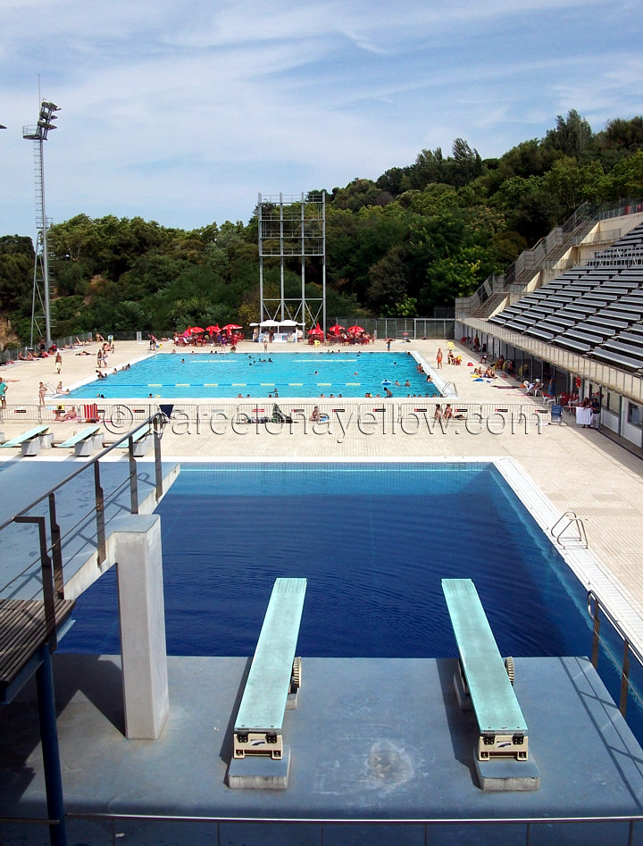 olympic pool diving