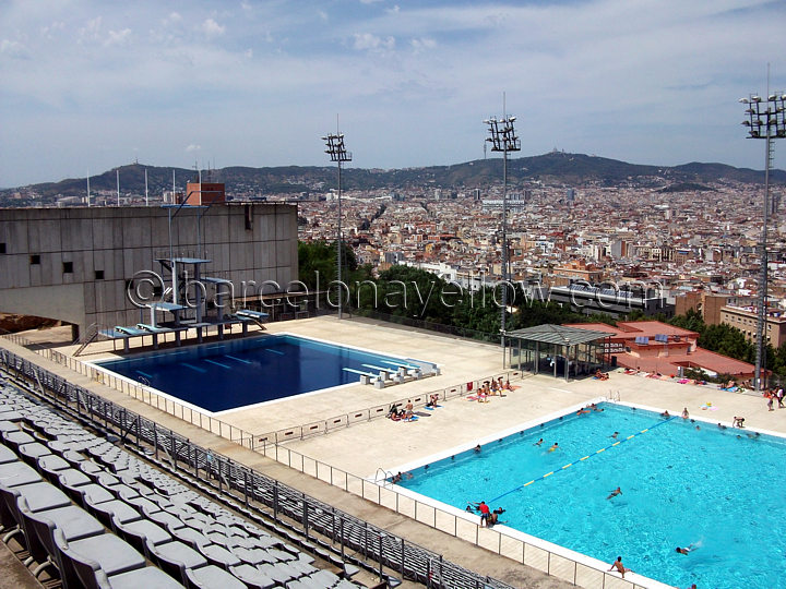 olympic pool diving