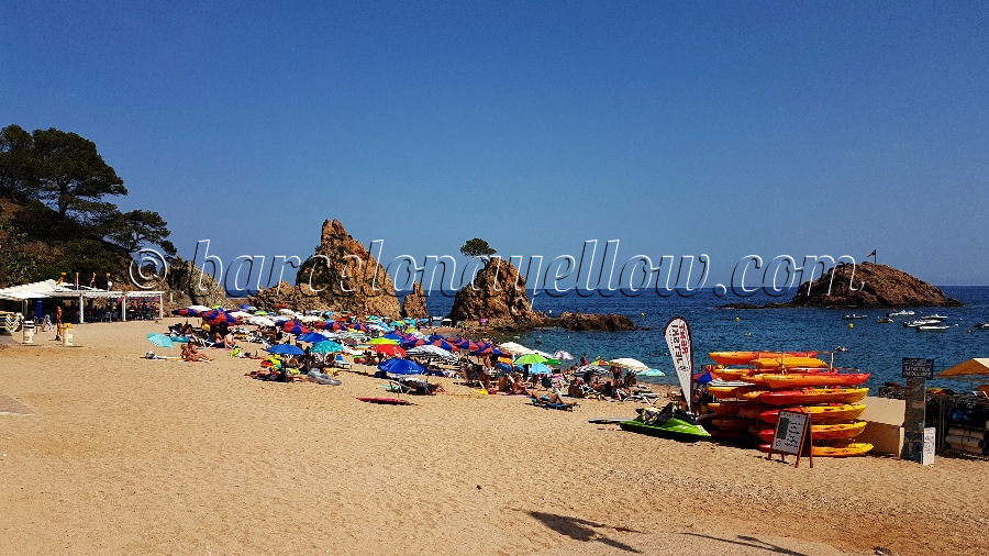 small-beach-tossa-de-mar_costa-brava