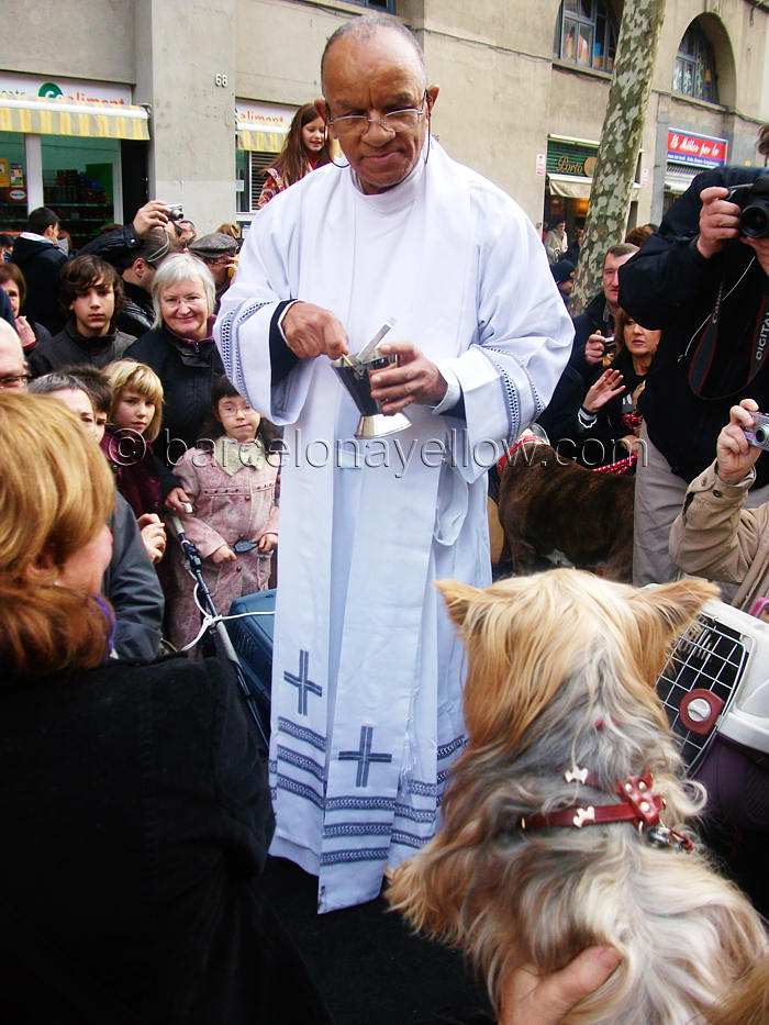 tres_tombs_sant_antoni_pet_blessing