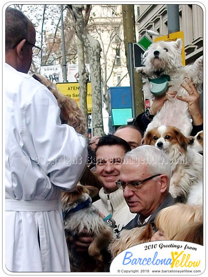 Festa dels Tres Tombs pet blessing